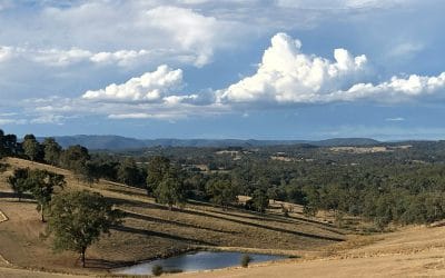 Where ideas come from: emerging author Gail Killen